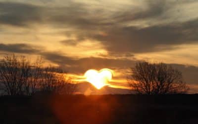 Marian Estates Monthly Newsletter -February 2026